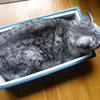 ラウラのこと。。。