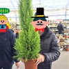 花を選んで植えよう💐 クリスマス🎄だよ〜♫