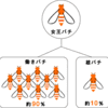 理研ー小保方騒動への即時対応の時期は過ぎ去った。回り道が面白い。人を信じることと状況自体の認識は分離。