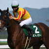 競馬初心者必見☆馬券予想🔥〜平安S〜8歳馬メイショウハリオに期待！