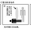 ◎１１月２４日の画像の再検証