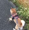 やっとこ休み、だよ