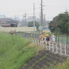 登校の風景：稲穂が実る中を歩く