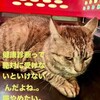 我が家の無抵抗主義のアポロの健康診断