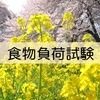 卵の食物経口負荷試験② ～3歳9ヵ月～