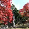 高取城ハイキング（千股→芋峠→高取城→壺阪寺→壺阪山駅） 