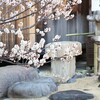 有酸素運動してますか？～アクティブに暮らしていくために～