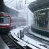 2014年　大雪の神奈川の鉄道２