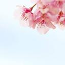 高3偏差値40台からの大学受験