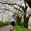 桜花爛漫  惜しむ春❣️ なるはちゃん その1 ─ リクエスト撮影 2024.4.11 松川周辺 ─