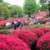 4月22日～4月28日(根津神社、亀戸天神社、拝島・昭島、泉屋博古館）