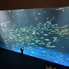 四国水族館：週末の四国めぐりで初めて訪れる・・・賑わってました