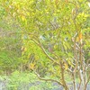 健康であれば、それだけで幸福度が上がる