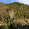 枡形山へ（岡山滞在7日目）