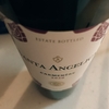 Santa Angelica Carmenere 2020 ★★★☆☆