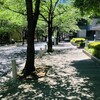 「社会人60人の挑戦！」クラファン達成‼️