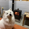 お疲れちゃん
