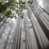 2022/5/21雲取山登山