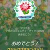 ピクミンブルーム＊その５８　クジャクサボテンのコミュニティデイ