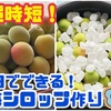 【超時短】本当は秘密にしたい、１日でできる梅シロップづくり(梅仕事2023)