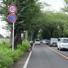 本日のコース 三崎漁港