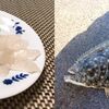 アジの泳がせ釣りでヒラメを釣って刺身に！福岡県大島の防波堤で泳がせ釣り！