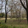 ４．１（水・曇）茨城地震。東証暴発。