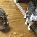 金曜の夜に風邪を引く