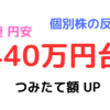 440万円台【評価額】【投資経過】2024年11月