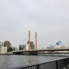 隅田川テラス30キロ：脚の調子はまだ本調子ではないですが・・・