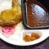 直球・ほろほろチキンカレー