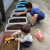 ２１６．ミニトマトの苗を植えました