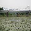 関ヶ原町にある『十九女池公園』睡蓮と新幹線。