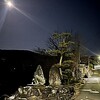 狸月の朝