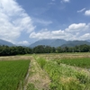 2025/06/21(土) 太陽と雲の観察会