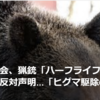 【まさにクマイシス？！……1／17－19　ハーフライフル規制案、北海道から反対「ヒグマの捕獲に影響」】＃612