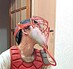 マジですみません！今日はブログ無しです！(明日はあるよ～♪)