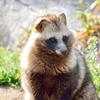 東武動物公園に行ってきました