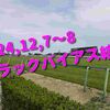 2024,12,7～8 トラックバイアス結果 (中山競馬場　京都競馬場　中京競馬場)