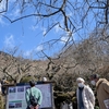 【旅行】大人数で筑波山旅行に行ってきました！【筑波山】