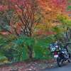 紅葉を探してプチツー　秋は深まり、爺は凍える
