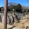 千葉市動物公園