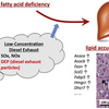 低濃度ディーゼル排ガス曝露の健康影響に対するω-3脂肪酸の防御効果―他国の大学の研究者と共著論文発表