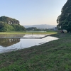 久々の雨でよかったな〜