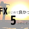 【大厳選】社会人３年目が書く「FXをはじめてよかったこと５選」