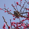 水月公園