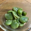 そら豆ご飯🫛
