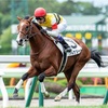【一口馬主日記】ＴＣライオン特別編！