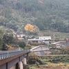 今日の中岡慎太郎遺髪墓地風景。