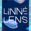 LINNÉ LENDSを使ってみた。生き物の名前が秒速で分かる！